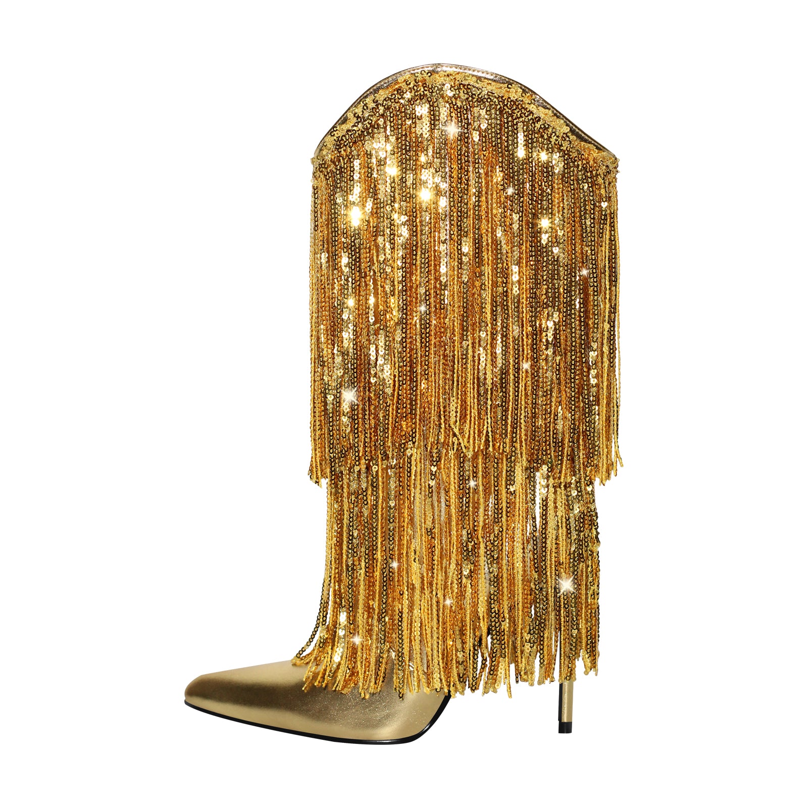 Fringe Point Toe Block Heels Boots